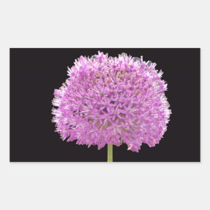 Illium Summer Spring Flower -Irish Design Rectangular Sticker