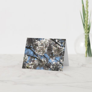 Illuminated Cherry Blossoms Notecard