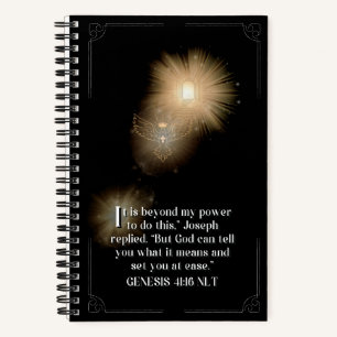 Illuminated Journal I