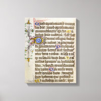 Illuminated Manuscript