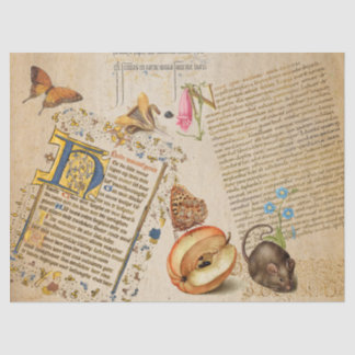 Illuminated Script Flower Butterfly Mouse Tissue Paper