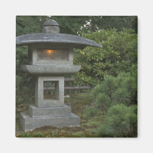 Illuminated stone magnet