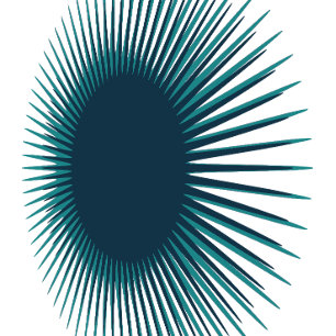 Illusion Hedgehog Minimalist Abstract T-Shirt Op