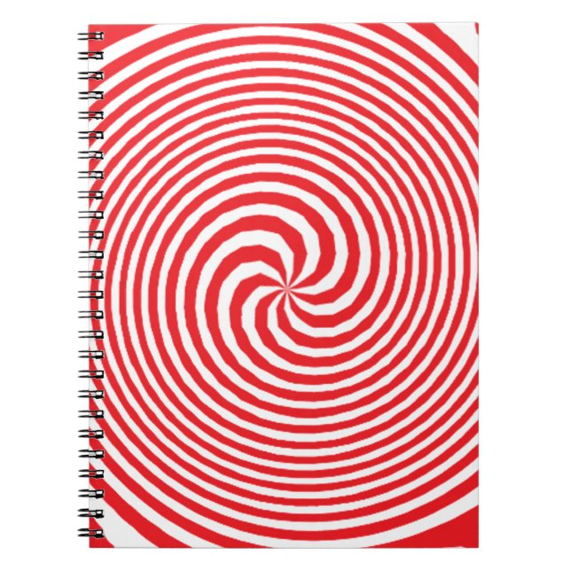 illusion notebook (Front)