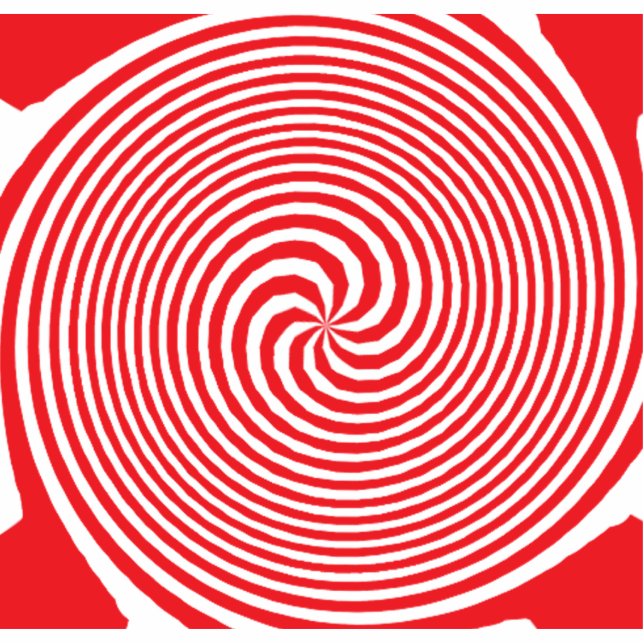 illusion photo sculpture magnet (Front)