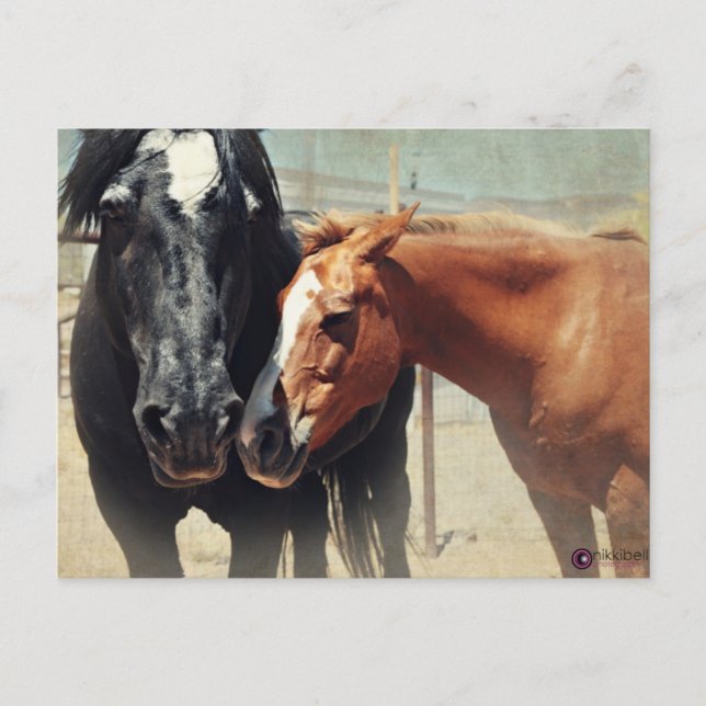 Illusion & Rush Postcard (Front)