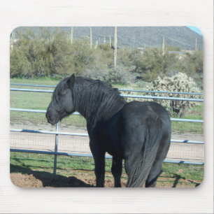 Illusion the Percheron Mouse Mat