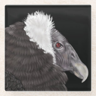Illustrated Andean Condor Glass Coaster