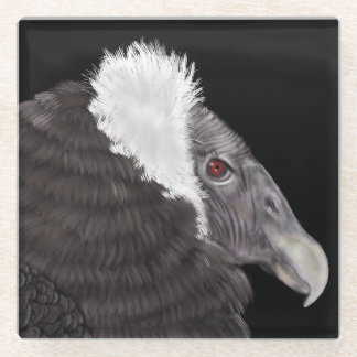 Illustrated Andean Condor Glass Coaster