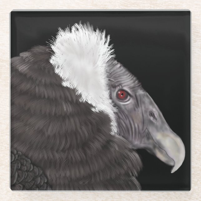 Illustrated Andean Condor Glass Coaster (Front)