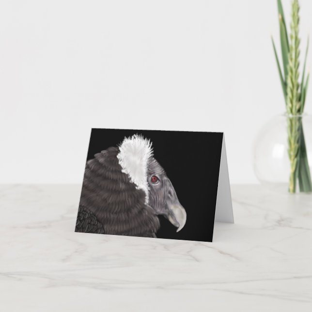 Illustrated Andean Condor Thank You Card (Front)