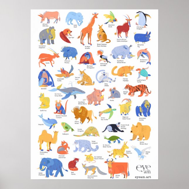 Illustrated Animals of EyeAmArt Collection Poster (Front)