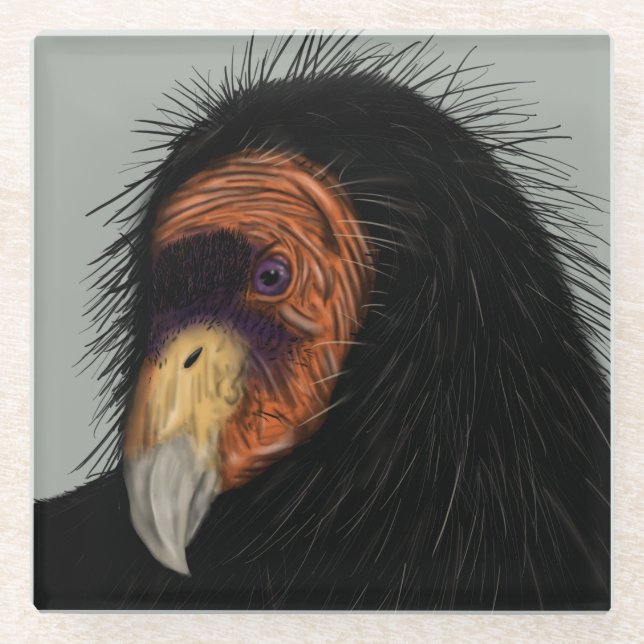 Illustrated California Condor Glass Coaster (Front)