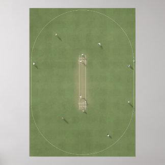 Illustrated Cricket Pitch from above Poster
