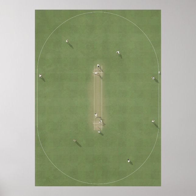 Illustrated Cricket Pitch from above Poster (Front)