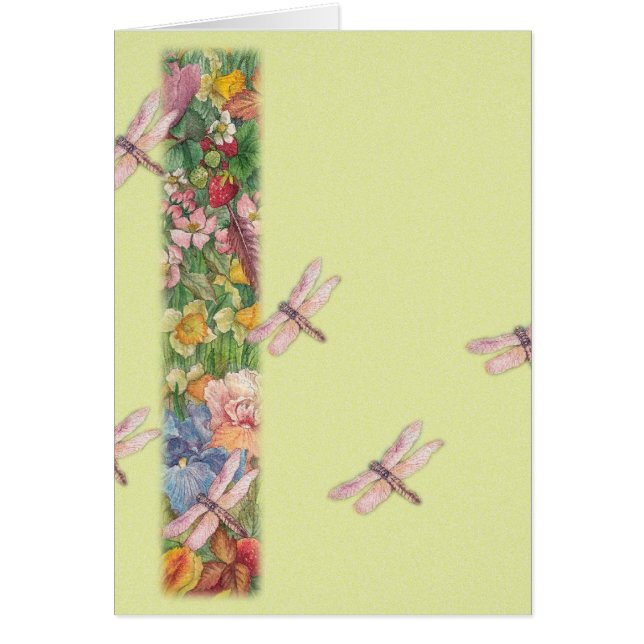 illustrated dragonflies in garden (Front)