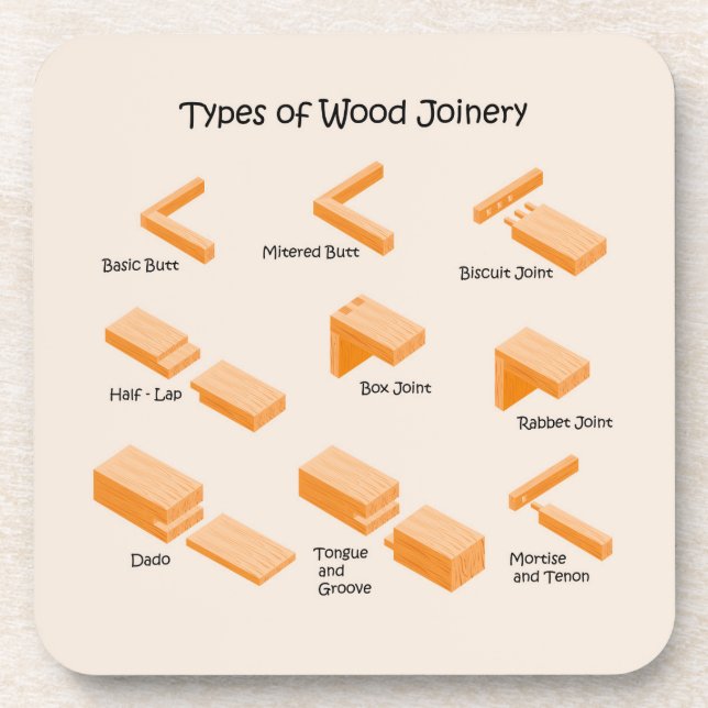  Illustrated Educational Coaster (Front)