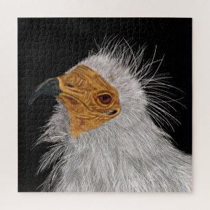 Illustrated Egyptian Vulture Jigsaw Puzzle