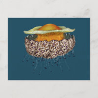 Illustrated Fried Egg Jellyfish