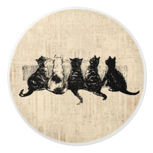 Illustrated Kittens with Tan Script Background Ceramic Knob
