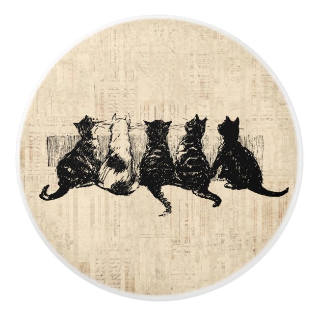 Illustrated Kittens with Tan Script Background Ceramic Knob (Front)