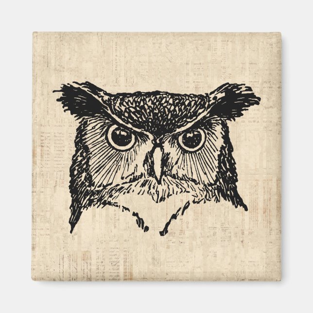 Illustrated Owl Art Magnet (Front)