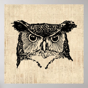 Illustrated Owl Art Poster