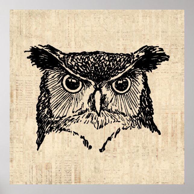 Illustrated Owl Art Poster (Front)