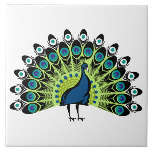 illustrated Peacock Tile