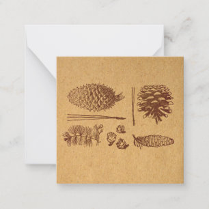 Illustrated Pine Cones Vintage Pinecone Art Card