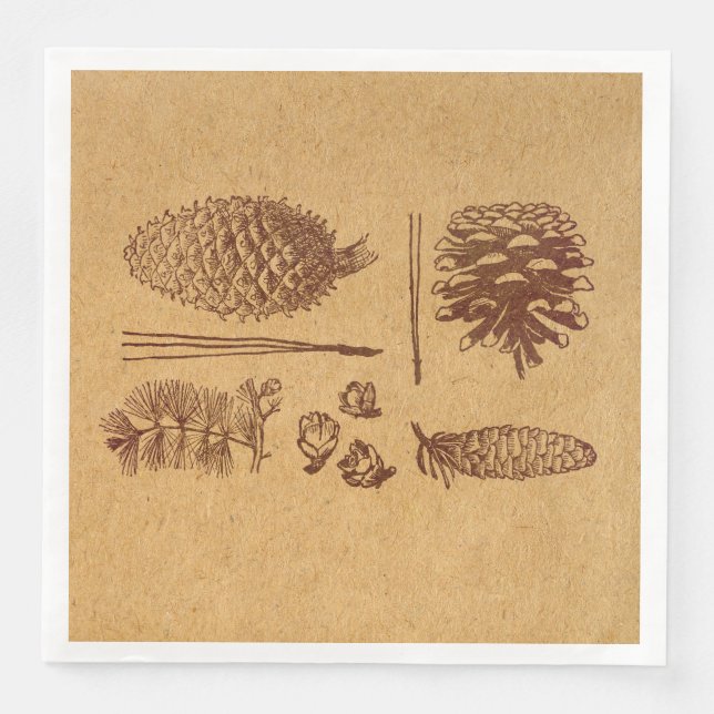 Illustrated Pine Cones Vintage Pinecone Art Napkin (Front)