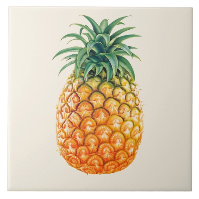 Illustrated Pineapple design Tile (Front)