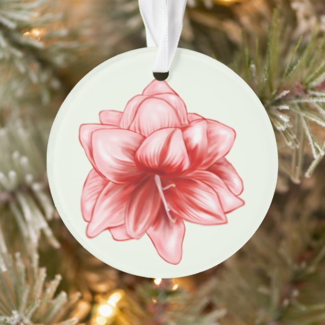 Illustrated Pink and White Amaryllis Ornament (Tree)