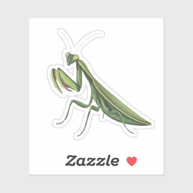Illustrated Praying Mantis (Sheet)