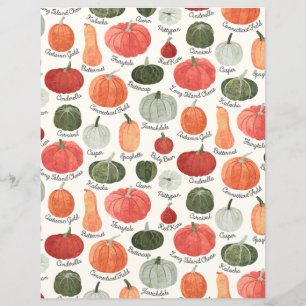 Illustrated Pumpkin Types Scrapbook Paper
