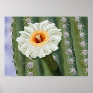 Illustrated Saguaro Cactus White Flower Poster