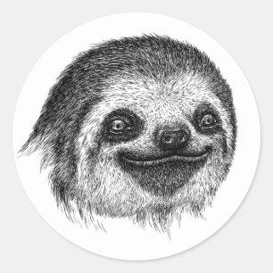 Illustrated Sloth Face Classic Round Sticker