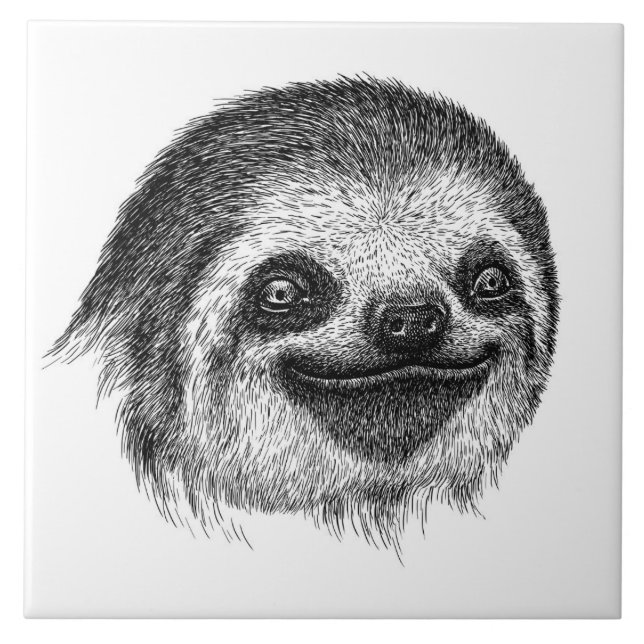 Illustrated Sloth Face Tile (Front)