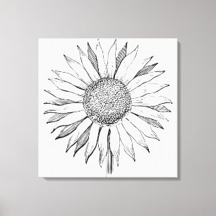 Illustrated Sunflower Canvas Print