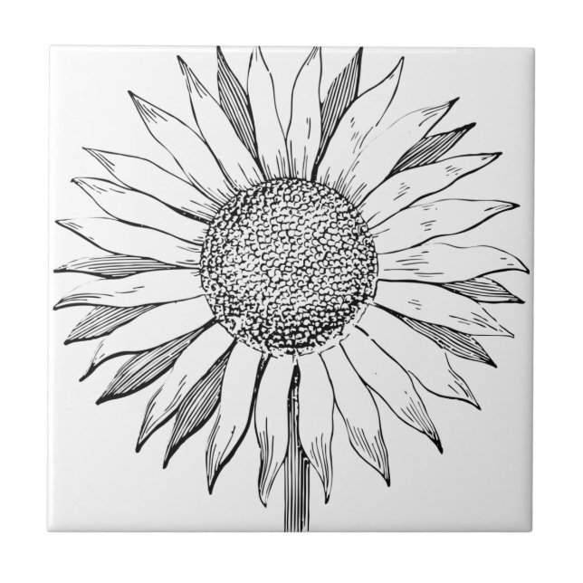 Illustrated Sunflower Tile (Front)