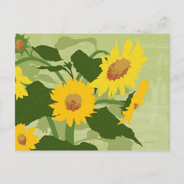 Illustrated Sunflowers Postcard (Front)