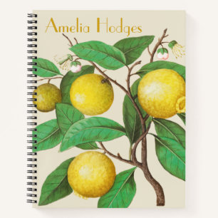 Illustrated Vintage Lemon Branch Notebook Name