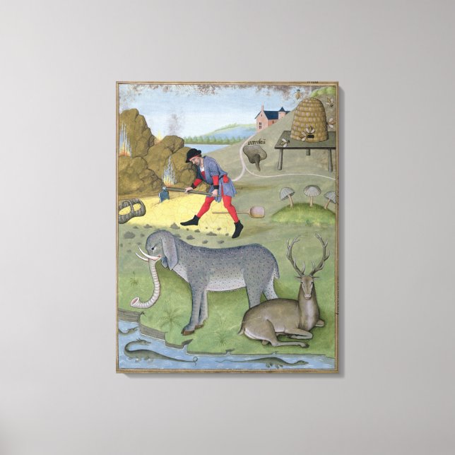 Illustration from the 'Book of Simple Canvas Print (Front)