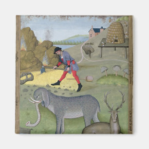 Illustration from the 'Book of Simple Magnet