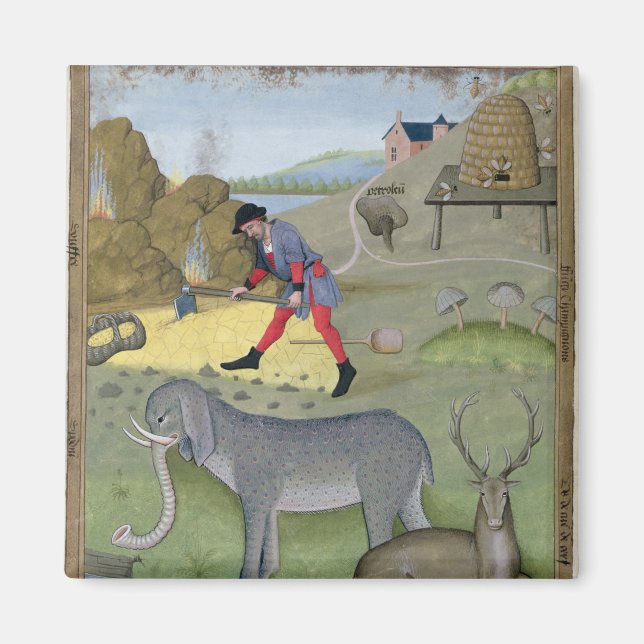 Illustration from the 'Book of Simple Magnet (Front)