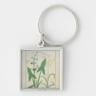 Illustration from the 'Book of Simple Medicines' 2 Key Ring