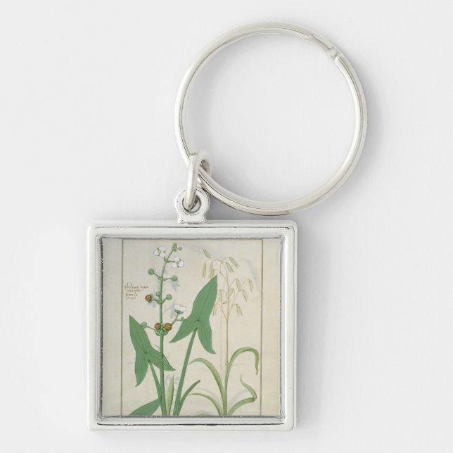 Illustration from the 'Book of Simple Medicines' 2 Key Ring (Front)