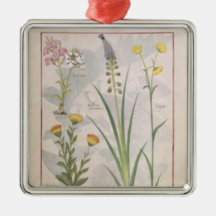 Illustration from the 'Book of Simple Medicines' Metal Tree Decoration