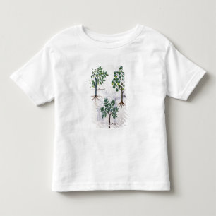 Illustration from the 'Book of Simple Medicines' Toddler T-Shirt