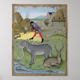 Illustration from the 'Book of Simple Poster